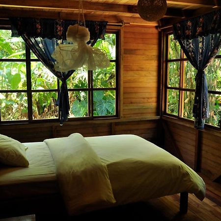 Huella Verde Rainforest Lodge Canelos エクステリア 写真