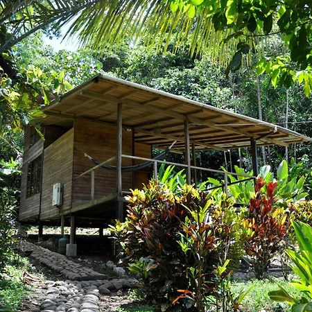 Huella Verde Rainforest Lodge Canelos エクステリア 写真