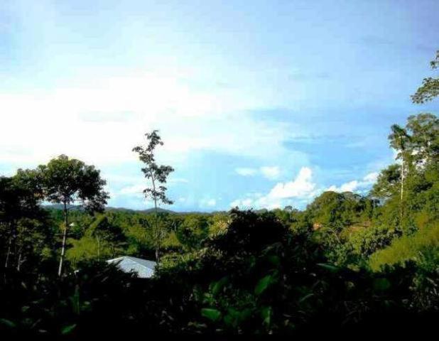 Huella Verde Rainforest Lodge Canelos エクステリア 写真