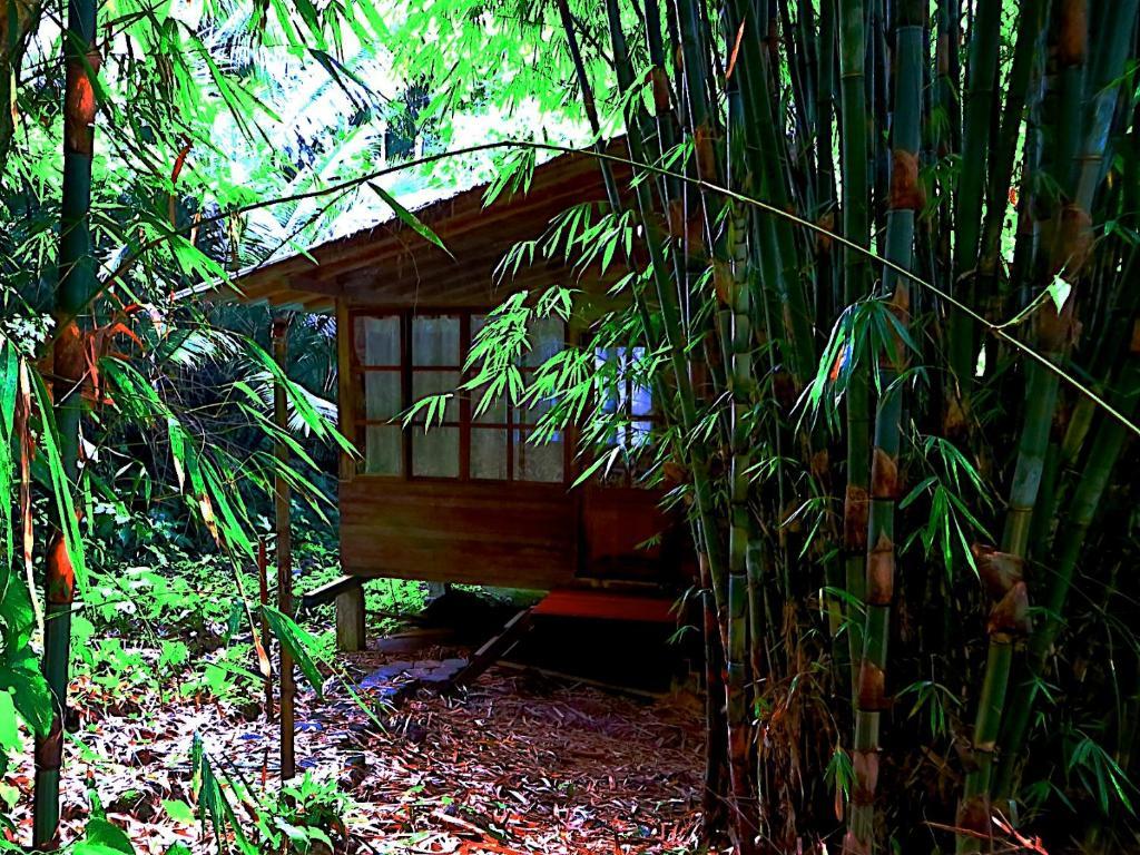 Huella Verde Rainforest Lodge Canelos 部屋 写真