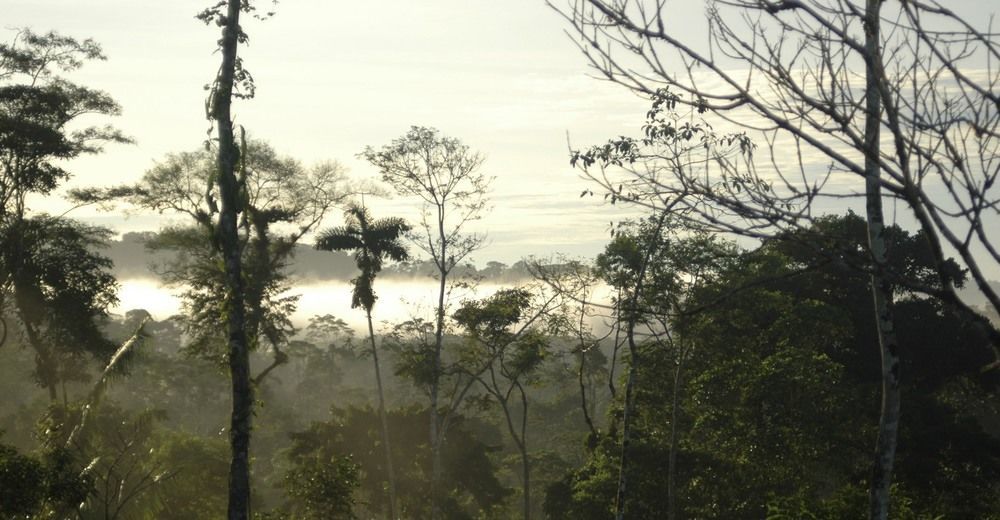 Huella Verde Rainforest Lodge Canelos エクステリア 写真