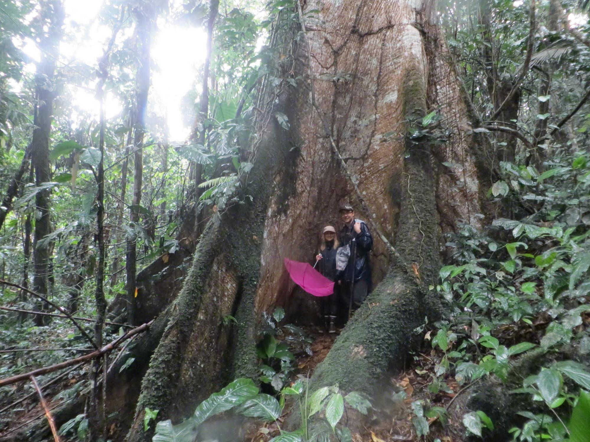 Huella Verde Rainforest Lodge Canelos エクステリア 写真