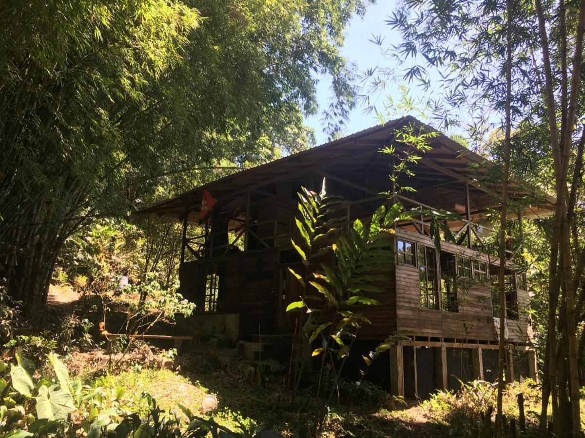 Huella Verde Rainforest Lodge Canelos エクステリア 写真