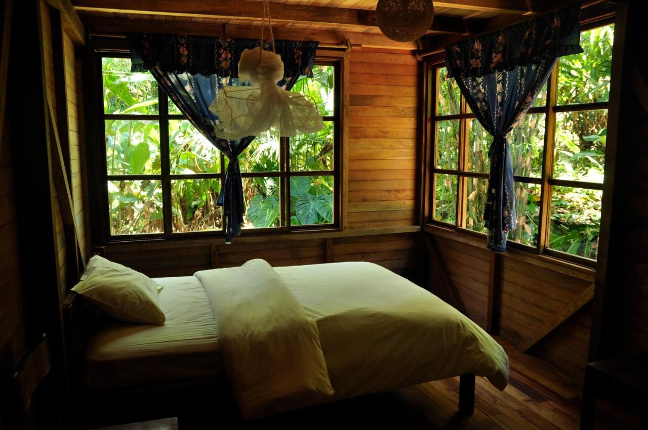 Huella Verde Rainforest Lodge Canelos エクステリア 写真